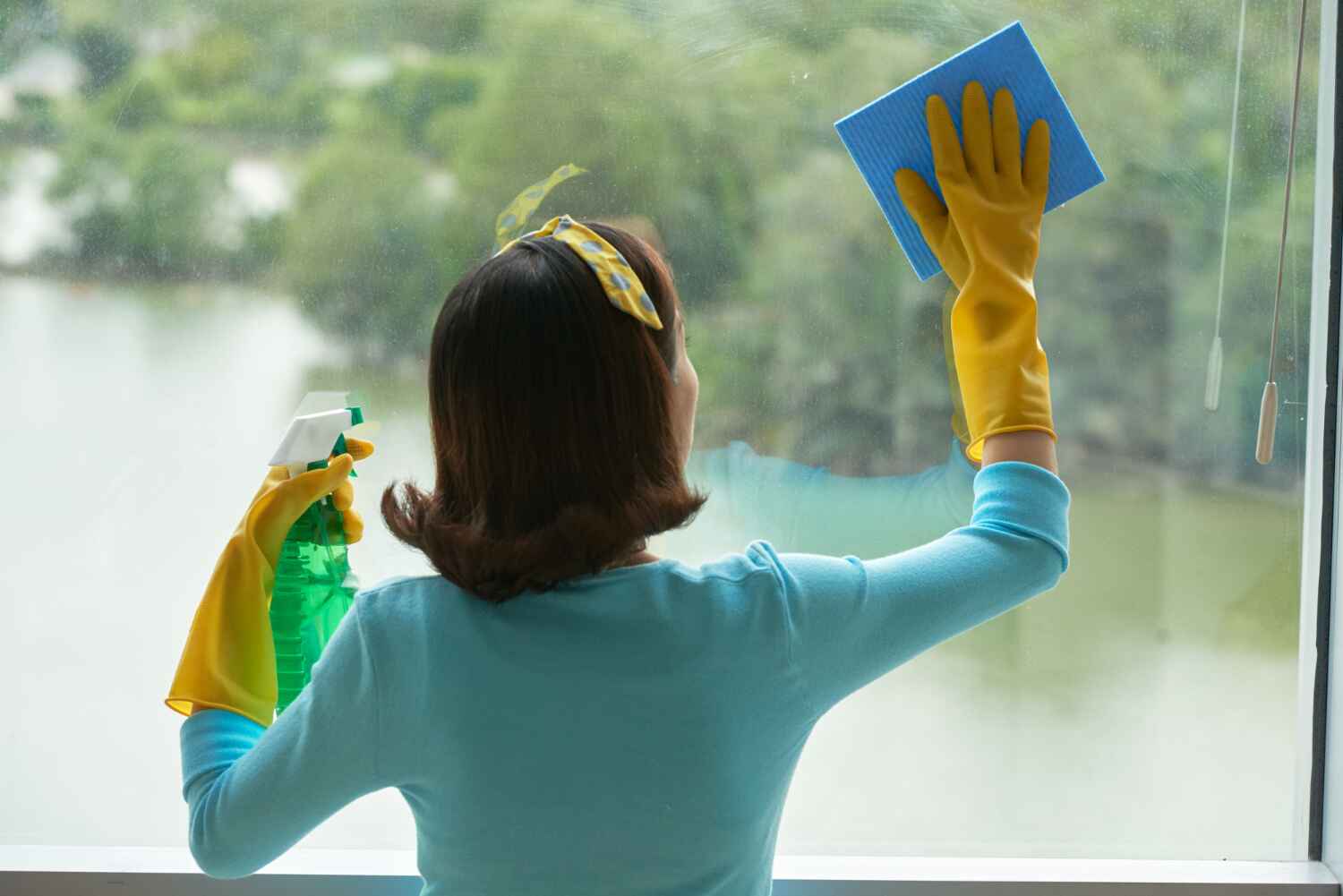 Affordable Window Cleaning Services Near You